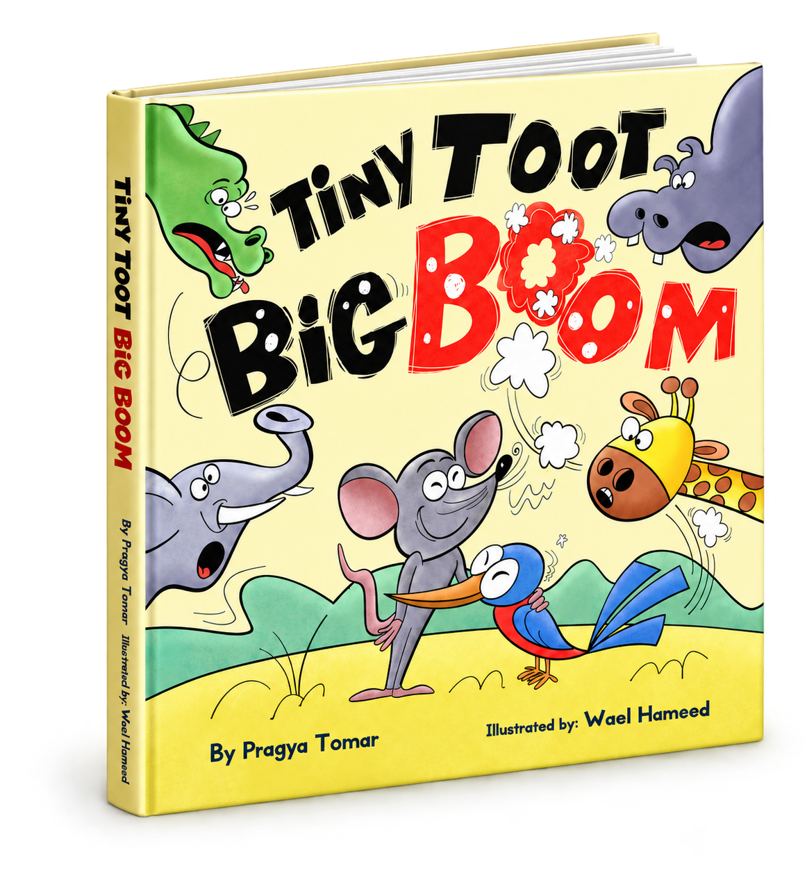 Tiny Toot Big Boom book cover